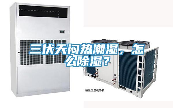 三伏天悶熱潮濕，怎么除濕？