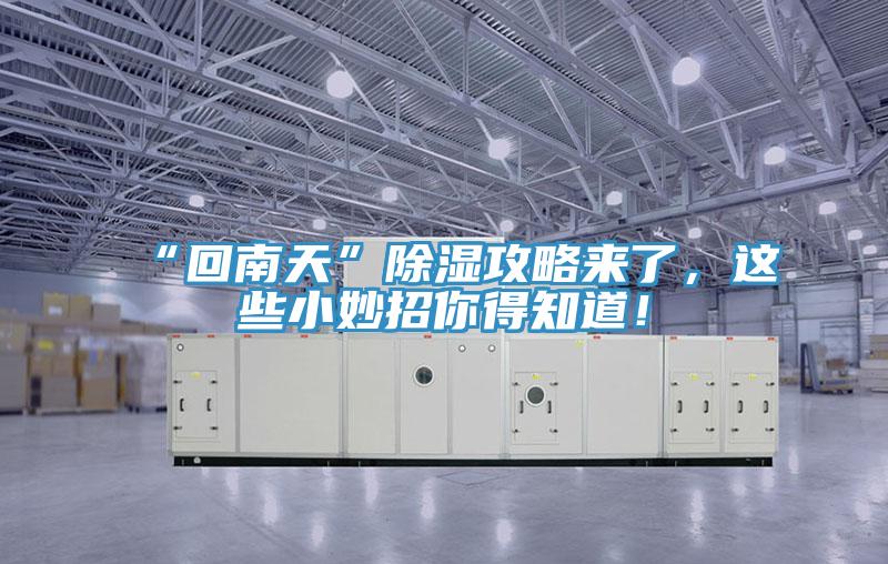 “回南天”除濕攻略來了，這些小妙招你得知道！