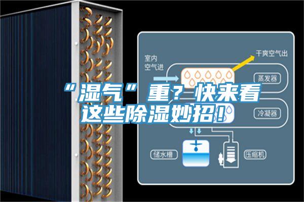 “濕氣”重？快來看這些除濕妙招！