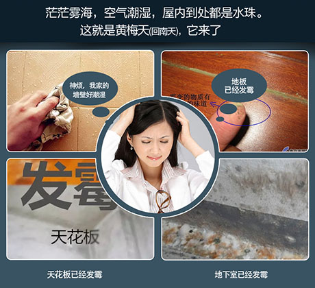 家庭別墅的地下室、衛生間、儲物室等該如何除濕？