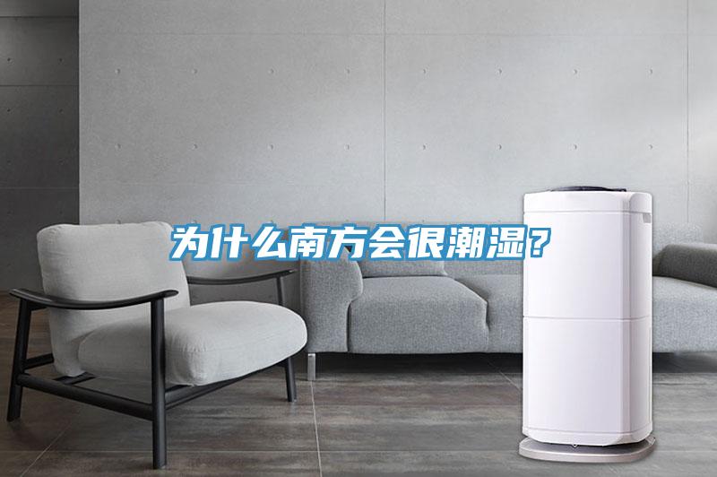 為什么南方會很潮濕?