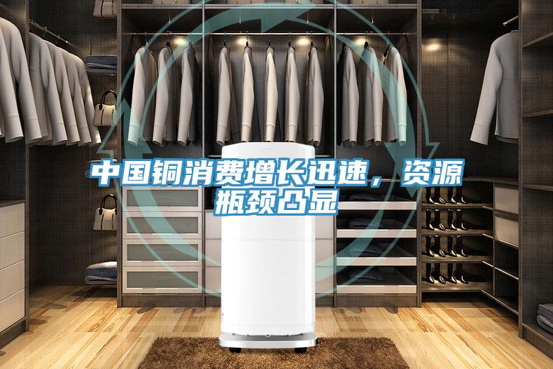 中國(guó)銅消費(fèi)增長(zhǎng)迅速,資源瓶頸凸顯