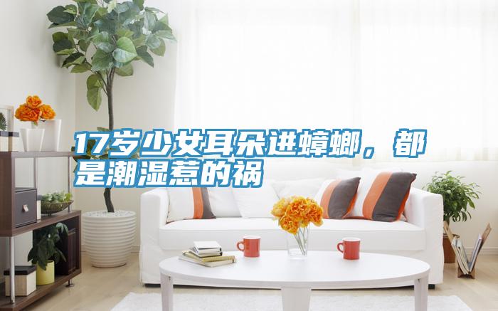 17歲少女耳朵進蟑螂,都是潮濕惹的禍