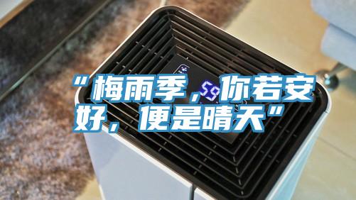 “梅雨季，你若安好，便是晴天”