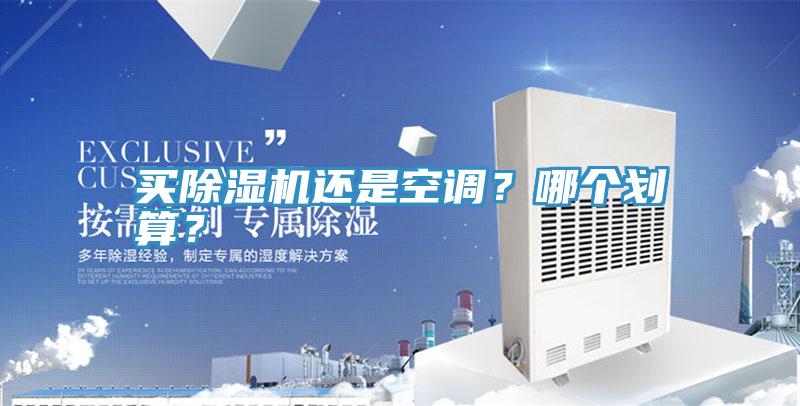 買除濕機還是空調?哪個劃算?