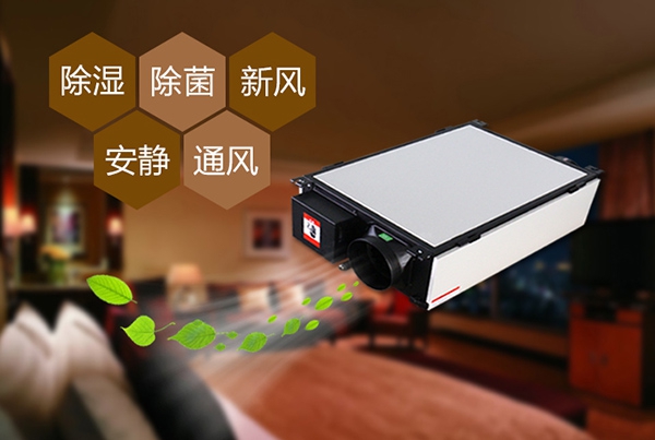 為什么冷庫除濕機會出現結霜的情況?