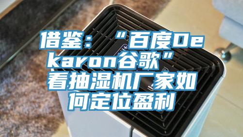 借鑒:“百度Dekaron谷歌” 看抽濕機廠家如何定位盈利