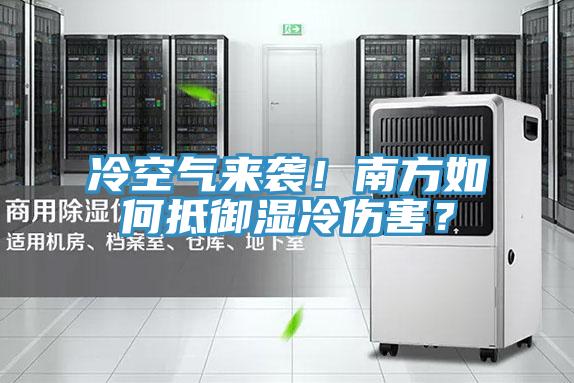 冷空氣來襲!南方如何抵御濕冷傷害?