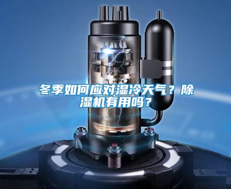 冬季如何應對濕冷天氣？除濕機有用嗎？