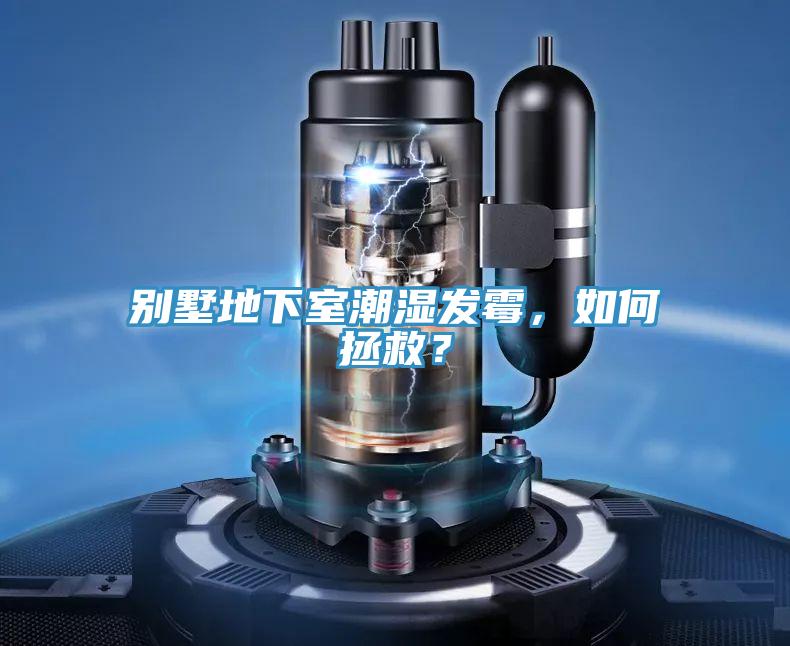 別墅地下室潮濕發(fā)霉,如何拯救?