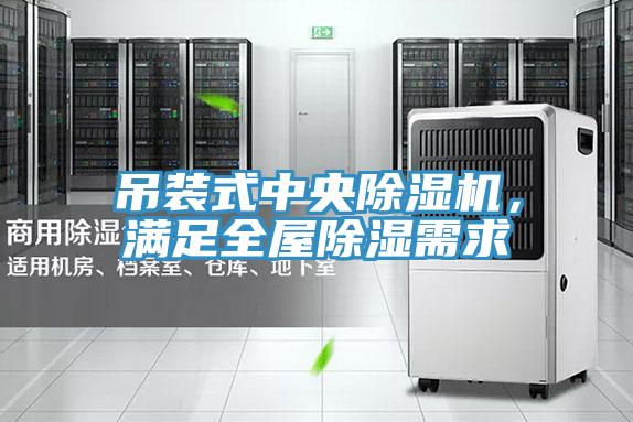 吊裝式中央除濕機(jī)，滿足全屋除濕需求