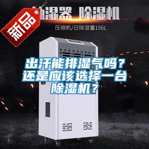 出汗能排濕氣嗎？還是應該選擇一臺除濕機？