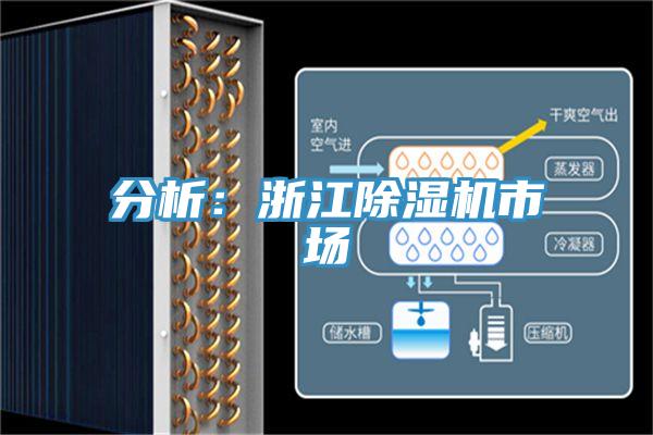 分析:浙江除濕機(jī)市場