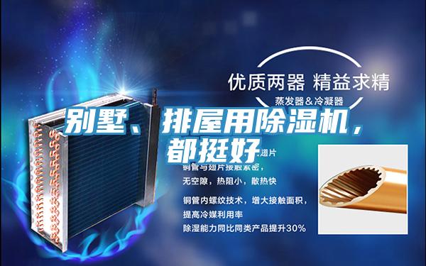 別墅、排屋用除濕機,都挺好