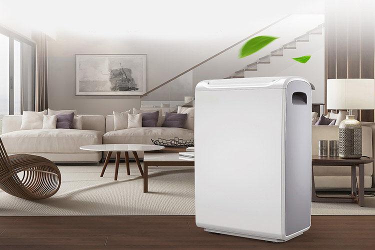 南方的潮濕空氣是如何形成的?