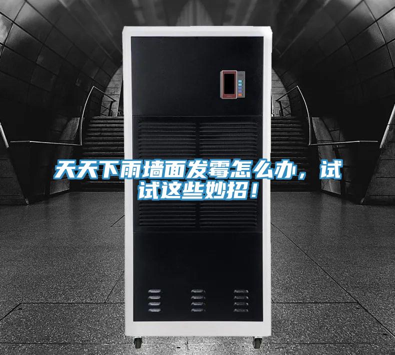 天天下雨墻面發霉怎么辦,試試這些妙招!