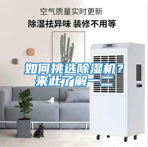 如何挑選除濕機？來此了解一二