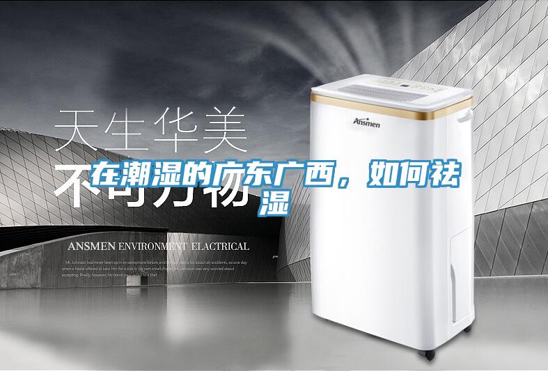 在潮濕的廣東廣西，如何祛濕