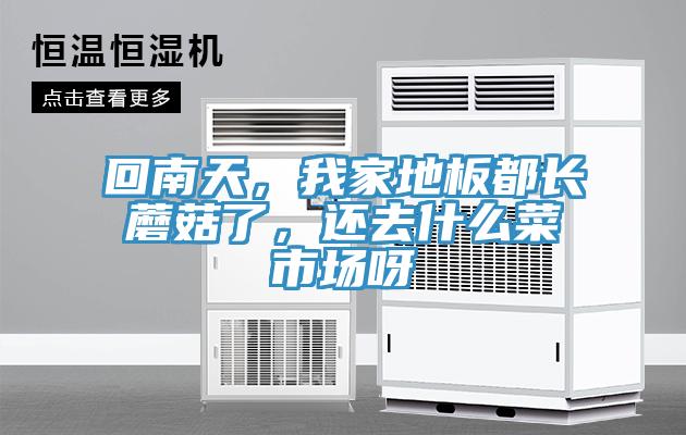 回南天,我家地板都長蘑菇了,還去什么菜市場呀