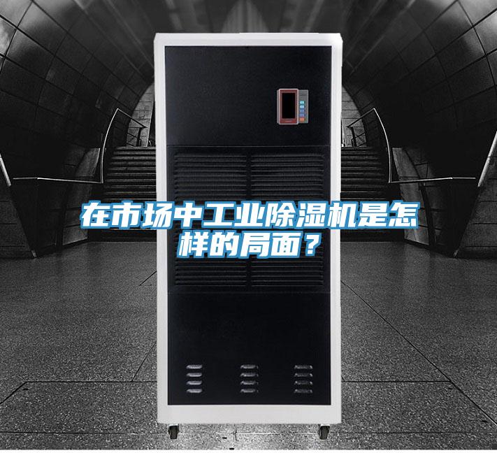 在市場中工業除濕機是怎樣的局面？
