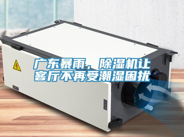 廣東暴雨,除濕機讓客廳不再受潮濕困擾