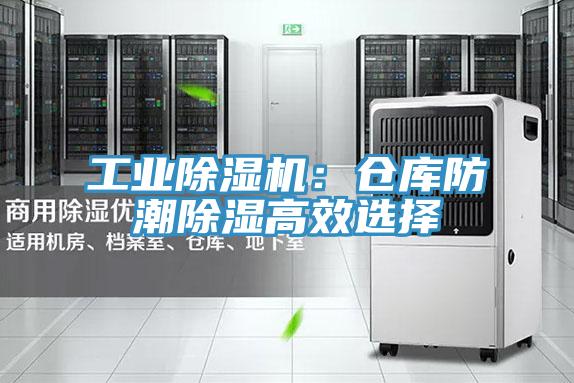 工業(yè)除濕機(jī):倉庫防潮除濕高效選擇
