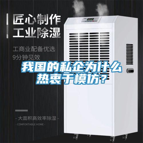 我國的私企為什么熱衷于模仿?