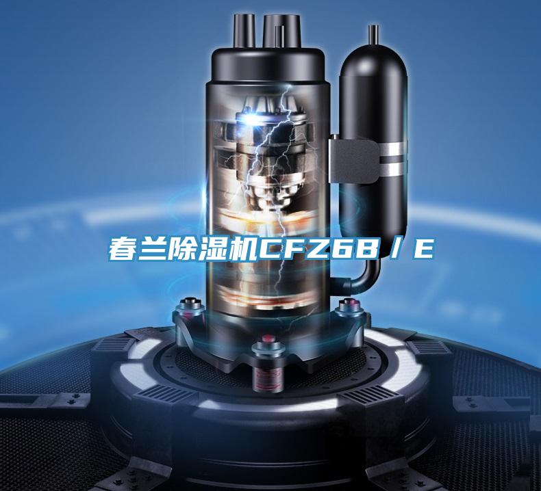 春蘭除濕機(jī)CFZ6B/E