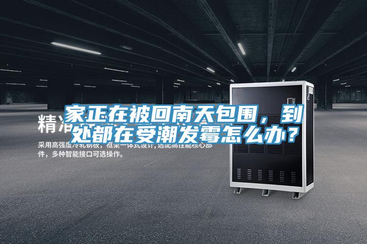 家正在被回南天包圍,到處都在受潮發霉怎么辦?