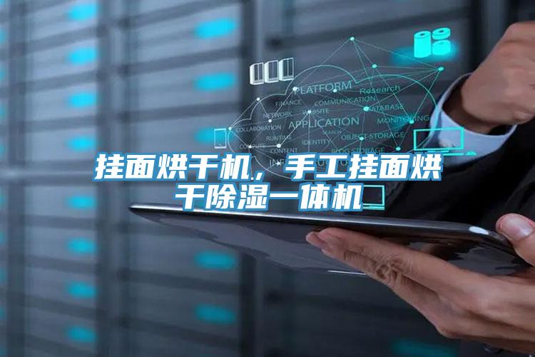 掛面烘干機,手工掛面烘干除濕一體機