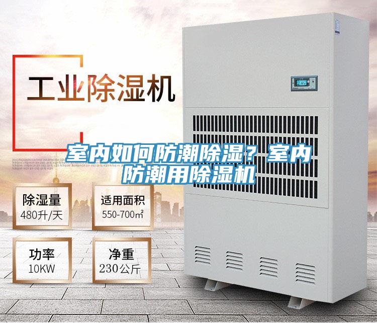 室內如何防潮除濕?室內防潮用除濕機