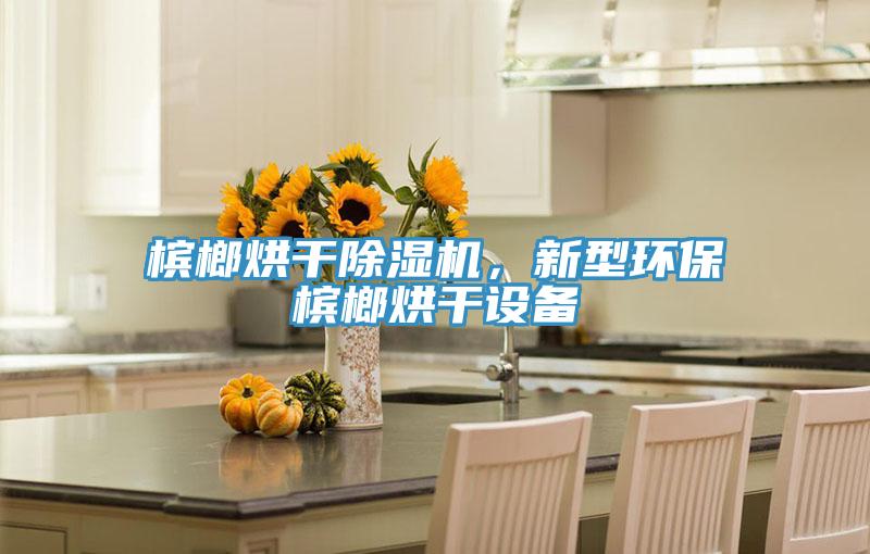 檳榔烘干除濕機,新型環(huán)保檳榔烘干設(shè)備