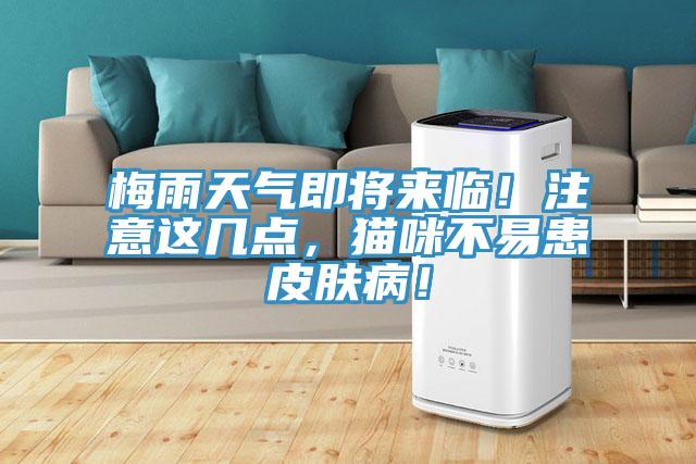 梅雨天氣即將來臨!注意這幾點(diǎn),貓咪不易患皮膚病!