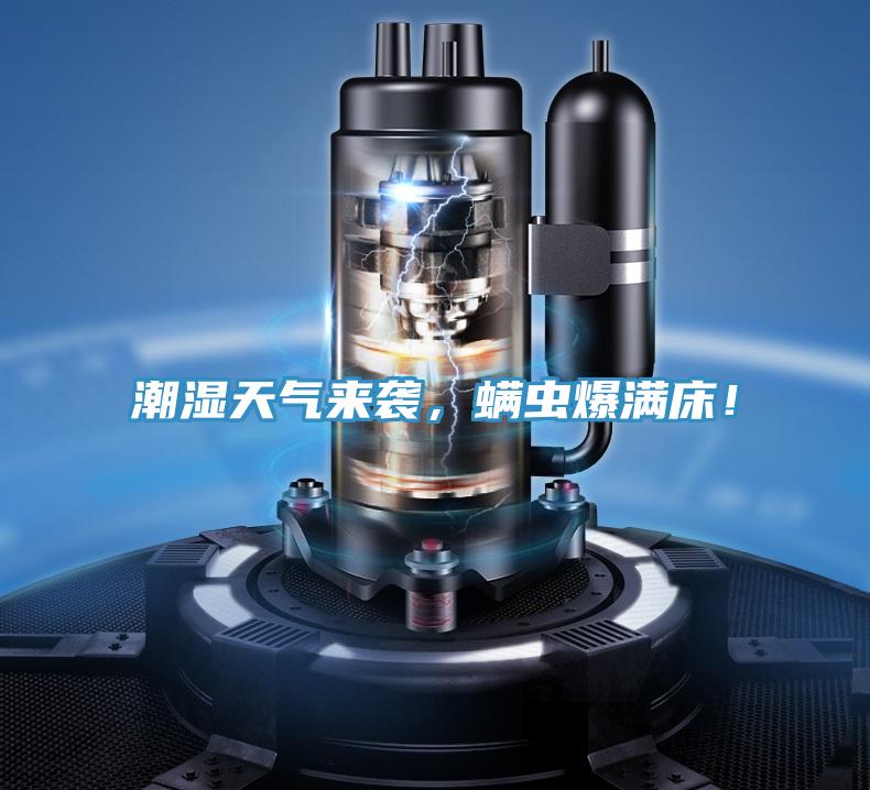 潮濕天氣來襲，螨蟲爆滿床！