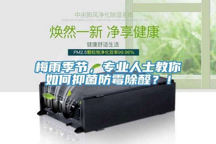梅雨季節(jié),專業(yè)人士教你如何抑菌防霉除醛?!