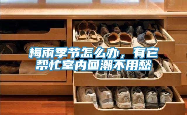 梅雨季節(jié)怎么辦,有它幫忙室內(nèi)回潮不用愁
