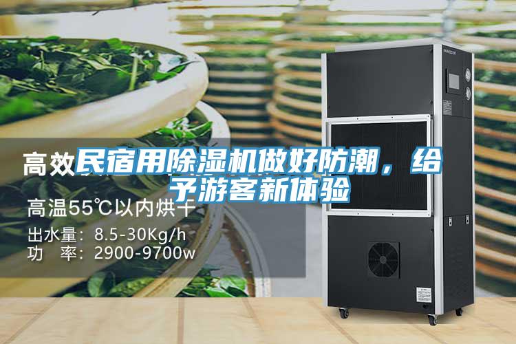 民宿用除濕機做好防潮,給予游客新體驗