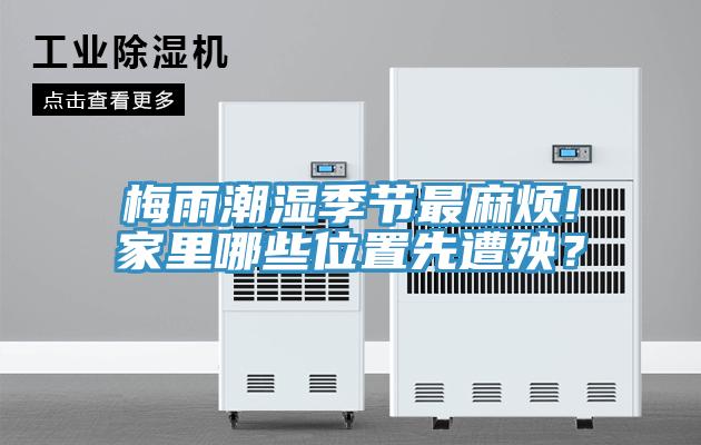 梅雨潮濕季節(jié)最麻煩!家里哪些位置先遭殃?