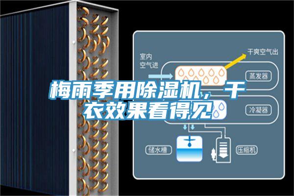 梅雨季用除濕機(jī),干衣效果看得見(jiàn)