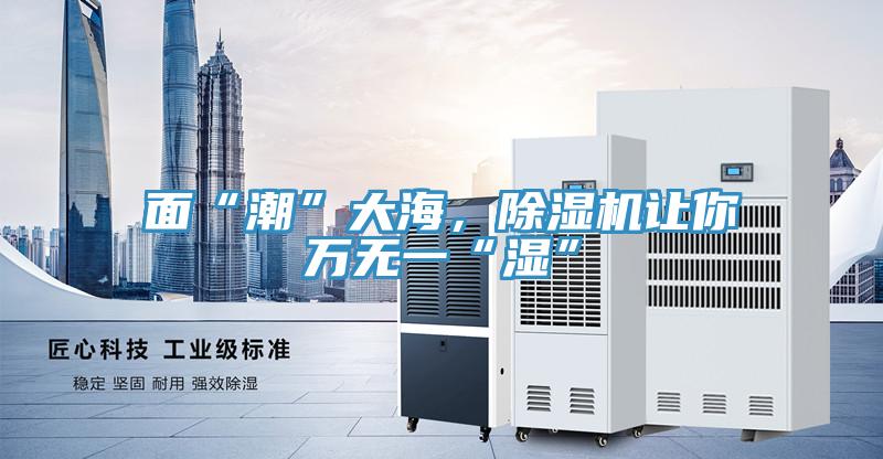面“潮”大海，除濕機讓你萬無一“濕”