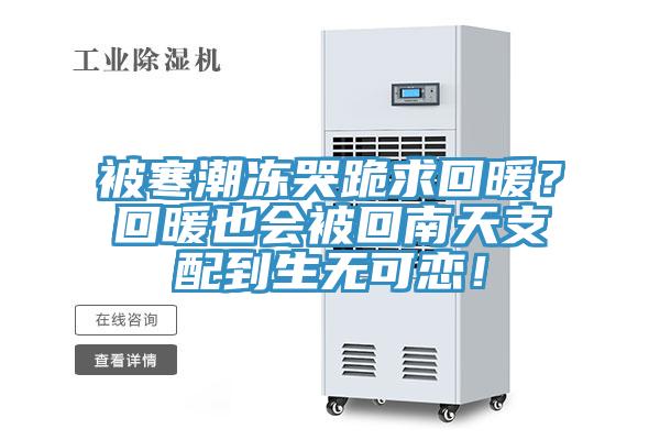 被寒潮凍哭跪求回暖？回暖也會被回南天支配到生無可戀！
