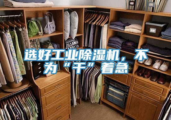 選好工業(yè)除濕機(jī),不為“干”著急