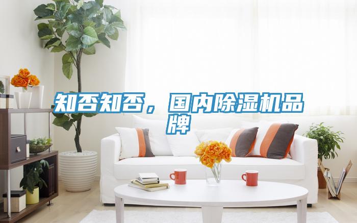 知否知否,國內(nèi)除濕機品牌
