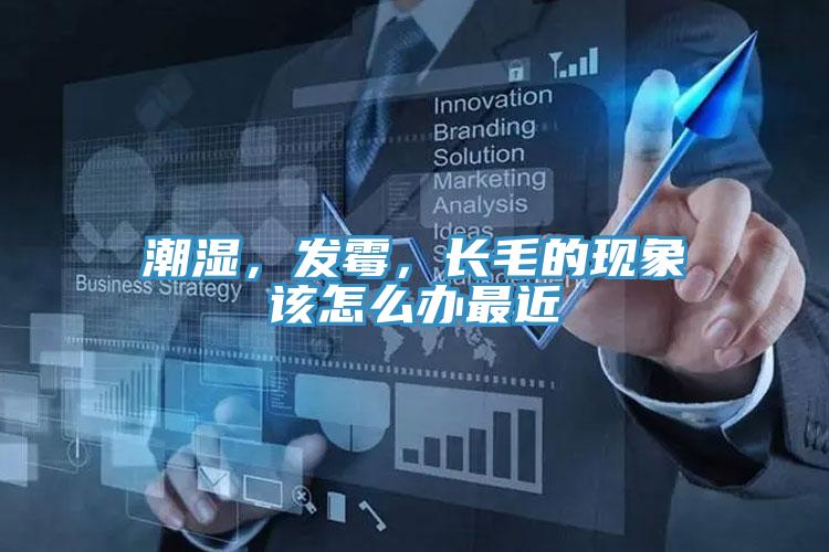 潮濕,發(fā)霉,長(zhǎng)毛的現(xiàn)象該怎么辦最近