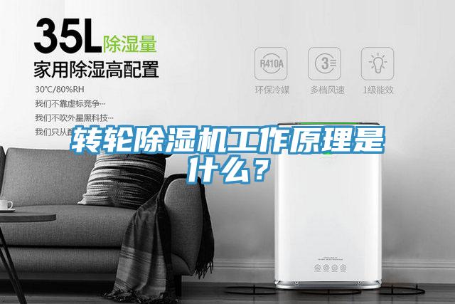 轉輪除濕機工作原理是什么?