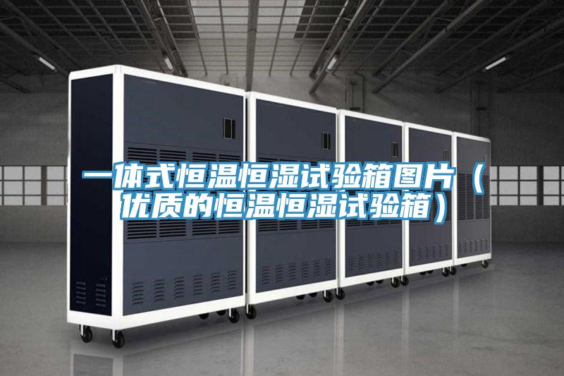 一體式恒溫恒濕試驗箱圖片(優質的恒溫恒濕試驗箱)
