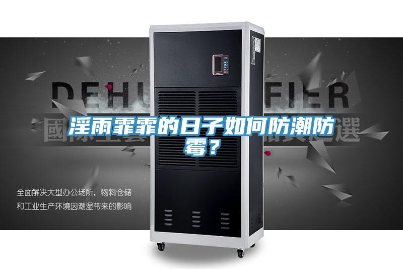 淫雨霏霏的日子如何防潮防霉?