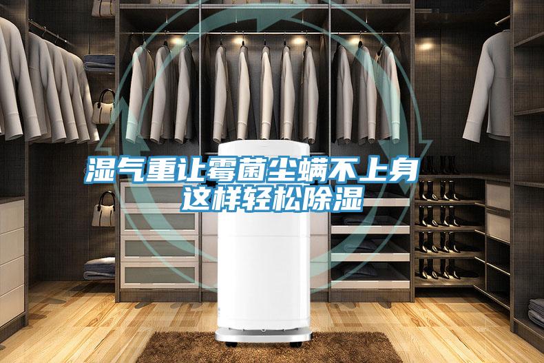 濕氣重讓霉菌塵螨不上身 這樣輕松除濕