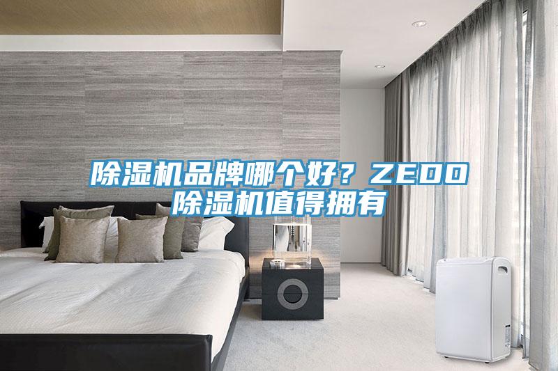 除濕機品牌哪個好?ZEDO除濕機值得擁有