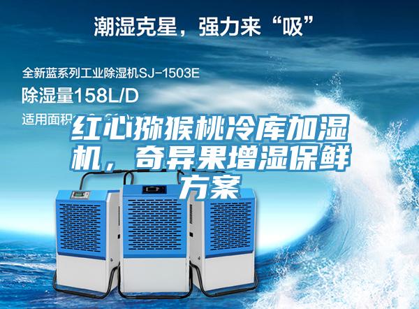 紅心獼猴桃冷庫加濕機,奇異果增濕保鮮方案